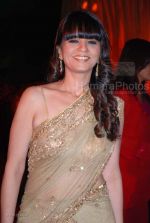 Neeta Lulla at Jodhaa Akbar premiere at IMAX WADALA on 14th feb 2008 (23).jpg