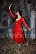 Nargis Bagheri on the sets of film Pranali at Madh Fort on Feb 16th 2008 (5).jpg