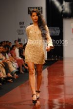 at Best of Wills India Fashion Week Part 2 (66).jpg