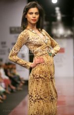 at Best of Wills India Fashion Week Part 2 (76).jpg