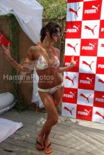 at Red Hot Puma Swimwear launch in Salt Water Grill on March 23rd 2008(19).jpg