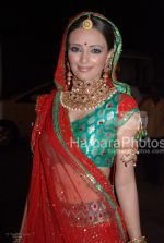 Roshini Chopra at Sansui TV Awards on 29th 2008(3).jpg