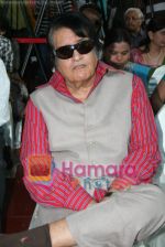 Manoj Kumar at the inauguration of the music video of Dr. Radhika Shuklas - To drugs, just say no! in Cinemax on April 14th 2008 (4).jpg