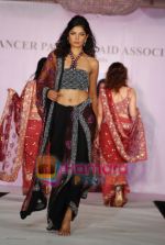 Priyanka Shah walks on the ramp for Hobby Ideas Shaina NC show in Leela Hotel on April 13th 2008 (2).jpg
