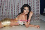 Sherlyn Chopra in a photo session to promote her upcoming album.jpg