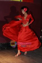 at Sandip Soparkar_s dance event in JW Marriott on April 30th 2008(92).JPG