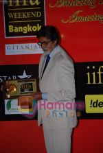 IIFA Brand Ambassador, Amitabh Bachchan at the International Indian Film Academy (IIFA) event on May 22nd 2008 (3).JPG