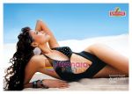 Kingfisher Calender 2006 (2).jpg