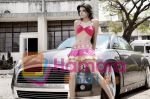 Sherlyn Chopra Wallpaper on August 14th 2008 (3).jpg