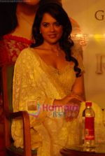 Sameera Reddy launches Rivaaz for Gitanjali in Hilton on August 26th 2008 (48).JPG