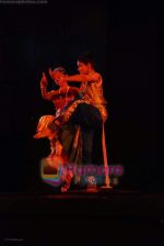 at Shobana_s dance event in Nehru Centre on 30th August 2008 (23).JPG