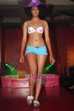 at Playboy Intimates Launch by Thailand based Kyra Mode Co. in J W Marriott on 26th September 2008 (24).jpg