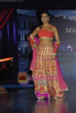 Bipasha Basu at the unveiling of Maheka Mirpuris collection Passione in Hotel Taj President on 3rd october 2008 (2).JPG