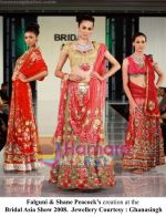 at Bridal Asia Fashion Soirees in Hyatt Regency, New Delhi on 4th october 2008 (8).jpg