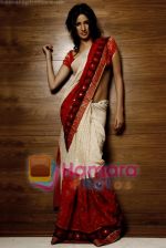 ivory-maroon sari at Nida Mahmood collection on 17th November 2008.jpg