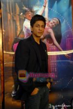 Shahrukh Khan_s Photo Shoot (10).JPG