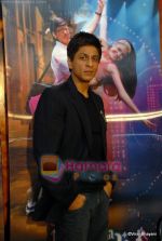 Shahrukh Khan_s Photo Shoot (11).JPG