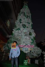 Arjan Bajwa at biggest Christmas tree in Croma, Juhu on 25th December 2008 (2).JPG