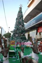 at biggest Christmas tree in Croma, Juhu on 25th December 2008 (6).JPG
