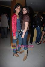 at new club Ice & Mint launch in Juhu on 3rd Jan 2009 (86).JPG