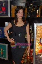 Aditi Gowitrikar at the launch of Jhonny Walker store in Cuffe Parade on 17th Jan 2009 (10).JPG