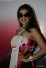 Amisha Patel at Bharat Dorris makeup week in Hotel Rang Sharda on 12th Feb 2009 (11).JPG