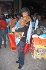 Rohit Verma at Marley and Me Dog show in Fame on 15th Feb 2009 (18).JPG