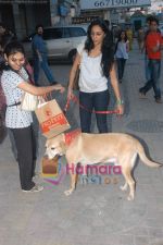 Shweta Salve at Marley and Me Dog show in Fame on 15th Feb 2009 (3).JPG