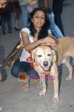 Shweta Salve at Marley and Me Dog show in Fame on 15th Feb 2009 (5).JPG