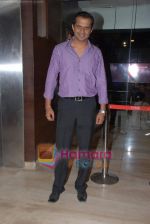 Siddharth Kannan at Milk premiere in Cinemax on 18th Feb 2009 (2).JPG