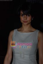 Gul Panag at Straight Film music launch in Blue Frog on 10th March 2009 (4).JPG