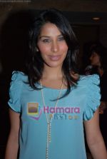 Sophie Chaudhry Manish Malhotra Show at LIFW on 27th March 2009 (66).JPG