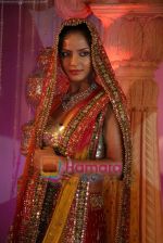 Neetu Chandra at Neetu Lulla_s Indian Wedding Carnival in Mayfair Rooms on 2nd April 2009 (2).JPG