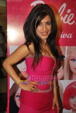 Shibani Kashyap celeberates Pink Day with a live gig in Inorbit Mall on 30th May 2009 (24).JPG