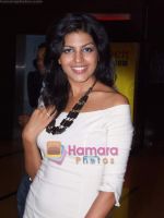 at Maruti Mera Dost film premiere in Fame on 4th June 2009 (40).JPG