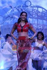 Sonam Kapoor perform at Idea IIFA Awards 2009.jpg