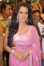 Celina Jaitley at Jashn store launch in Oberoi Mall on 5th July 2009 (7).JPG