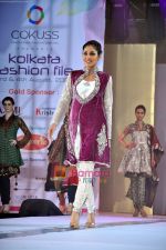 Pooja Chopra at COKUSS Kolkata Fashion File 09 in Kolkata on 4th Aug 2009.jpg