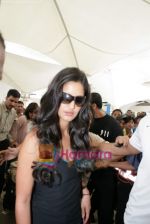 Katrina Kaif return to Mumbai Airport on 18th Aug 2009 (10).JPG