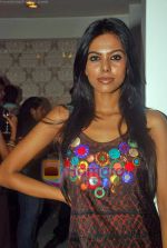 at Lakme Fashion Week media preview bash in Puro on 16th Sep 2009 (52).JPG