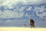 Still from the movie WHERE THE WILD THINGS ARE (10).jpg