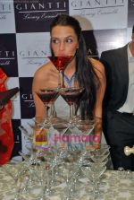 Neha Dhupia at Gitanjali promotional event  in Atria Mall on 14th Oct 2009 (26).JPG