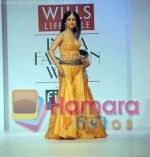 Shibani Kashyap at Wills India Fashion Week on 25th Oct 2009 (2).jpg