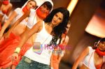 Katrina Kaif in the still from movie De Dhana Dhan (2).jpg