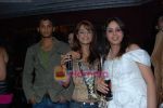 at Anti piracy bash hosted by Satish Reddy in Enigma on 16th Dec 2009 (5).JPG