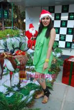 Pooja Chopra spends Christmas with children at Tata Docomo store in Bandra on 24th Dec 2009 (15).JPG