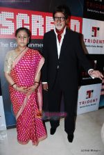 Amitabh Bachchan, Jaya Bachchan at Star Screen Awards red carpet on 9th Jan 2010 (157).JPG