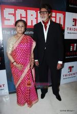 Amitabh Bachchan, Jaya Bachchan at Star Screen Awards red carpet on 9th Jan 2010 (5).JPG