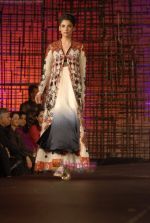 Rohit Bal creates Magical fashion at Chivas Studio in Grand Hyatt, Mumbai on 10th Jan 2010 (29).JPG