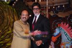 Amitabh Bachchan at Stardust Awards on 17th Jan 2010 (183).JPG
